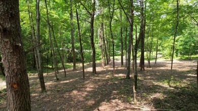 Lake Lot For Sale in Spring City, Tennessee