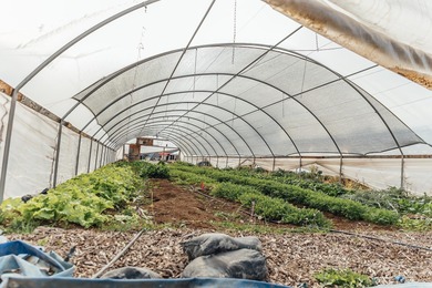 Colorado River Home For Sale in Palisade Colorado