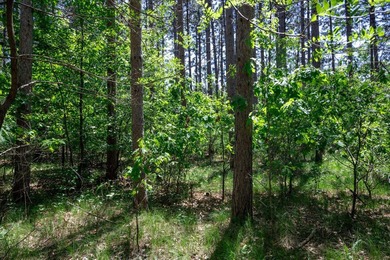 Nicely wooded .48-acre lot in Castle Rock Estates subdivision - photo 11