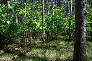 Nicely wooded .48-acre lot in Castle Rock Estates subdivision - photo 12