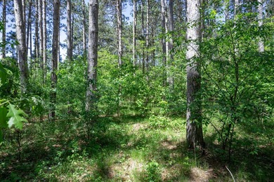 Nicely wooded .48-acre lot in Castle Rock Estates subdivision - photo 14