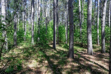 Nicely wooded .48-acre lot in Castle Rock Estates subdivision - photo 15