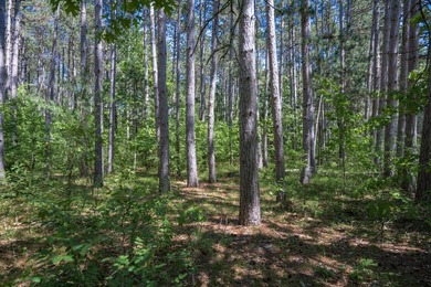Nicely wooded .48-acre lot in Castle Rock Estates subdivision - photo 16