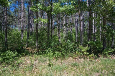 Nicely wooded .48-acre lot in Castle Rock Estates subdivision - photo 19