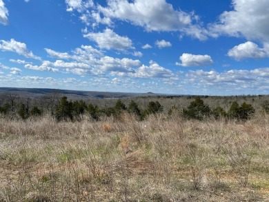 Lake Lot For Sale in Henderson, Arkansas