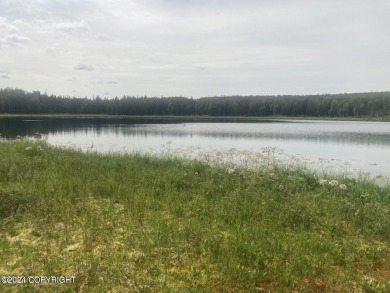 Lake Acreage For Sale in Wasilla, Alaska