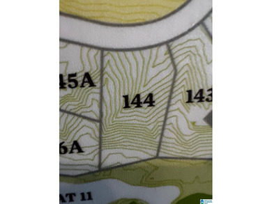 Selling Agent to verify any items of importance - photo 7