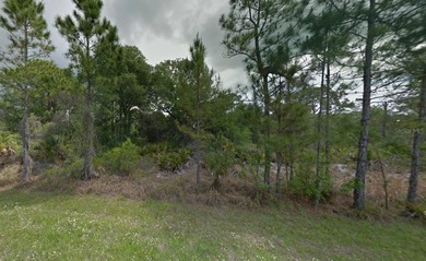 Port Charlotte Waterway Area Lot For Sale in Port Charlotte Florida