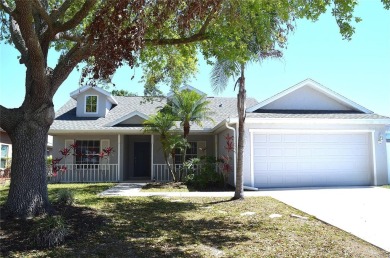 Lake Home Sale Pending in Parrish, Florida