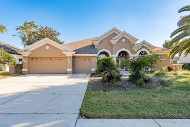 Lake Tarpon Home For Sale in Palm Harbor Florida