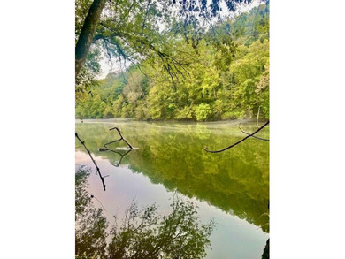 Cumberland River Front BEAUTY, fully furnished & turn key-READY - photo 38