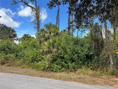 Port Charlotte Waterway Area Lot For Sale in Port Charlotte Florida