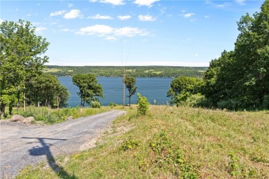 Seneca Lake Lot For Sale in Dundee New York