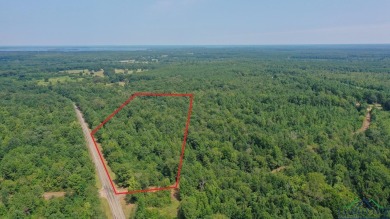 Wright Patman Lake Acreage For Sale in Queen City Texas