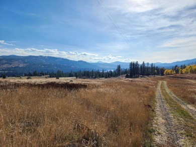 Lake Acreage For Sale in Republic, Washington
