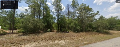 Rush Lake Lot For Sale in Dunnellon Florida