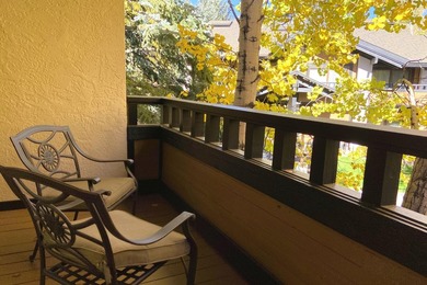 An upgraded three-bedroom, three-bath retreat in Sun Valley's - photo 19