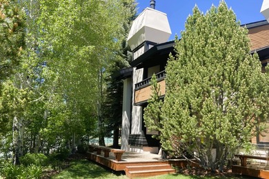 An upgraded three-bedroom, three-bath retreat in Sun Valley's - photo 21