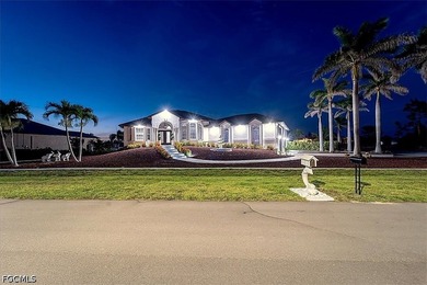 1/2 Acre, pool corner house, boat lift on, very Hight front - photo 42