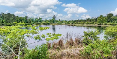 Unlocking 13.37 acres on Jacksonville's booming Westside, this - photo 2