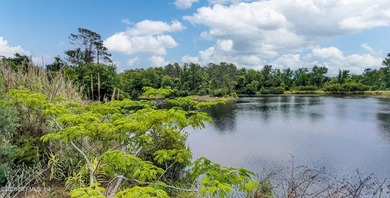 Unlocking 13.37 acres on Jacksonville's booming Westside, this - photo 4
