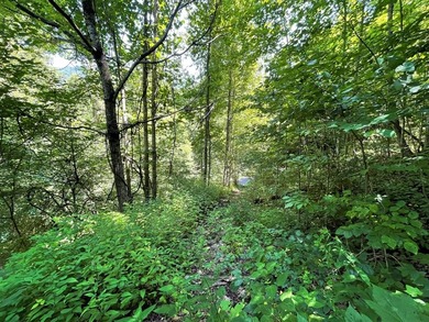 Fontana Lake Lot For Sale in Bryson City North Carolina