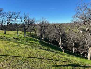 Lake Lot For Sale in Cottonwood, California