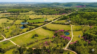 9.7 acres of stunning wooded Ozark land with beautiful bluff - photo 2