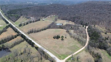 9.7 acres of stunning wooded Ozark land with beautiful bluff - photo 3