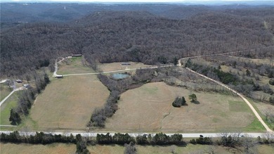9.7 acres of stunning wooded Ozark land with beautiful bluff - photo 4