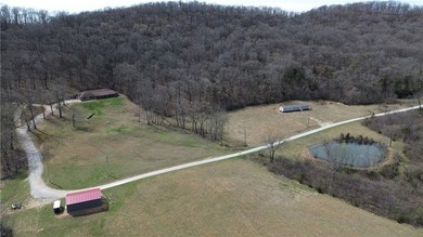 9.7 acres of stunning wooded Ozark land with beautiful bluff - photo 5