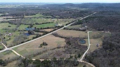 9.7 acres of stunning wooded Ozark land with beautiful bluff - photo 6