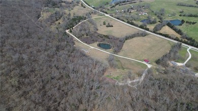 9.7 acres of stunning wooded Ozark land with beautiful bluff - photo 7