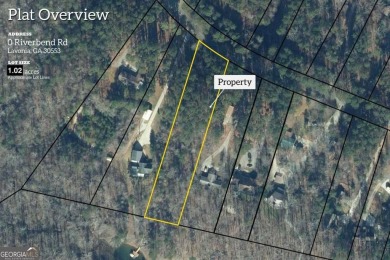 Lake Lot For Sale in Lavonia, Georgia