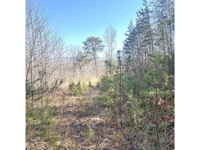 Tuckaseegee River Lot For Sale in Whittier North Carolina