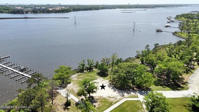 Build your dream home in Savannah Estates, a beautiful - photo 3