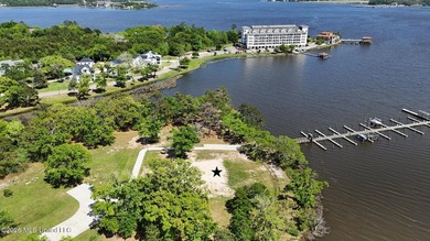 Build your dream home in Savannah Estates, a beautiful - photo 7