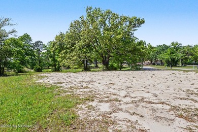 Build your dream home in Savannah Estates, a beautiful - photo 10
