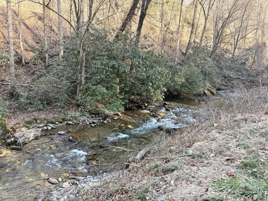Lake Lot For Sale in Bryson City, North Carolina