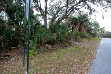 Build your dream home on this beautiful vacant lot located in a - photo 5