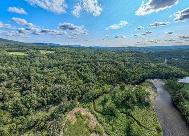 Remarkable opportunity to own water frontage and an island on - photo 10