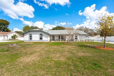 (private lake, pond, coastal) Home For Sale in Mount Dora Florida