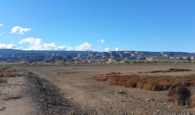 Colorado River Commercial For Sale in Loma Colorado