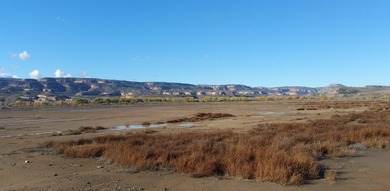 100 acres of industrial land located just outside Fruita with - photo 2