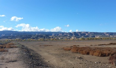 100 acres of industrial land located just outside Fruita with - photo 3