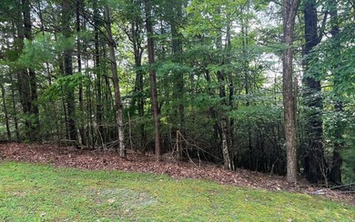 Lake Chatuge Acreage For Sale in Hayesville North Carolina