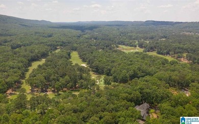 Gated, secure community of Shoal Creek with world class golf - photo 1