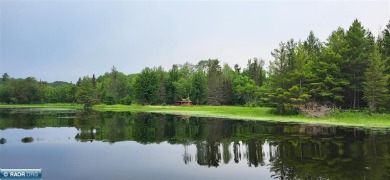This 40-acre boat access property with 1440 ft of gradual - Lake Acreage For Sale in Crane Lake, Minnesota