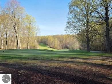 This is a one-of-a-kind opportunity to build a custom home right - photo 3