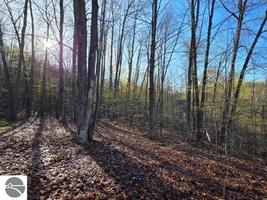 This is a one-of-a-kind opportunity to build a custom home right - photo 4